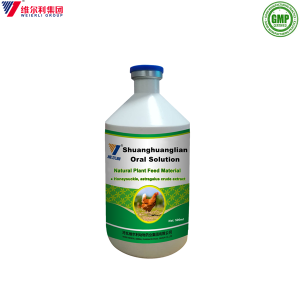 GMP Factory  Herbal Veterinary Medicine Shuanghuanglian Oral Solution for Poultry Antivirus