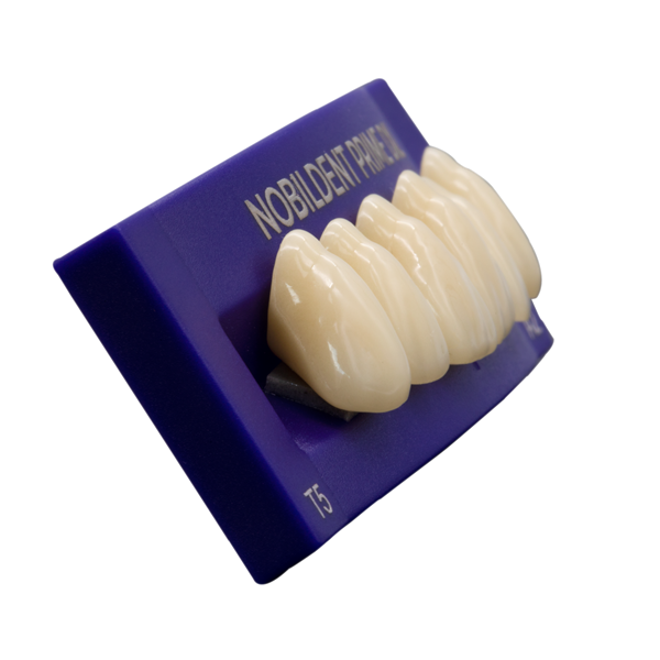 Best Chinese Professional Denture Acrylic - Nobildent Prime DXL Artificial  Denture Teeth – VinciSmile Manufacturers and Company