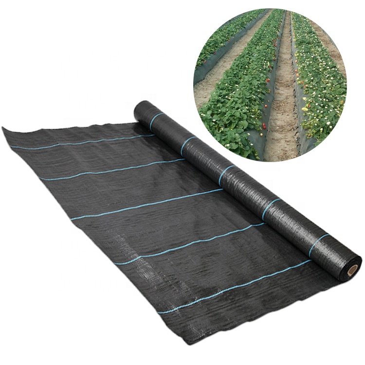 Polypropylene Woven Ground Cover: A Durable Solution for Agriculture and Landscaping
