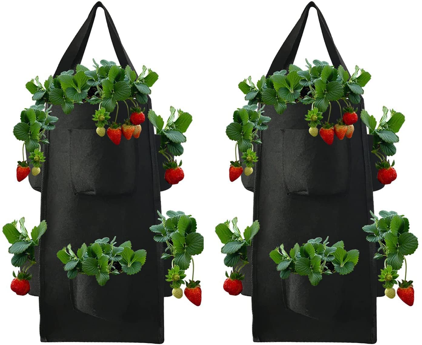 Strawberry grow bag