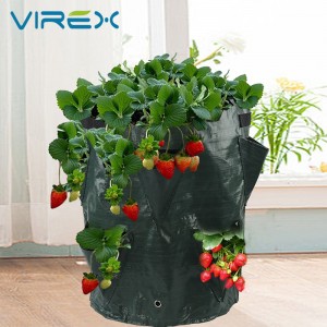 PE Strawberry Grow Bag With Nylon Handles Exhaust Hole Design Fabric Pots