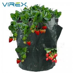 PE Strawberry Grow Bag With Nylon Handles Exhaust Hole Design Fabric Pots