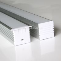 Stair & Buried Step LED Strip Channel (34)