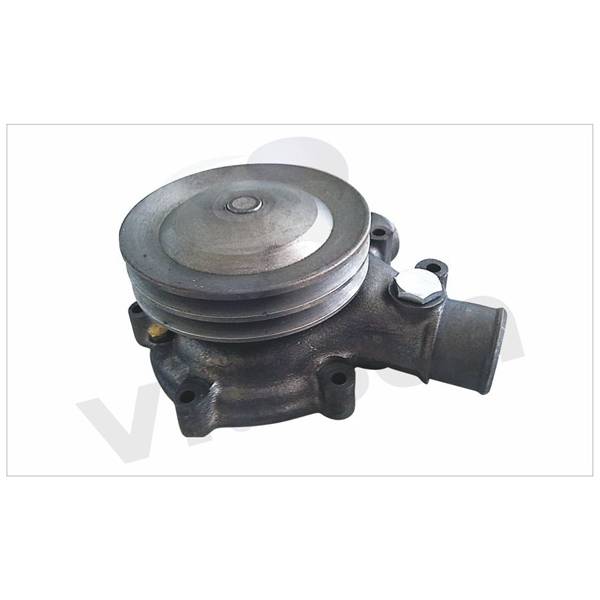 Professional Design 3662005901 water pump - RENAULT VS-RV121 – VISUN