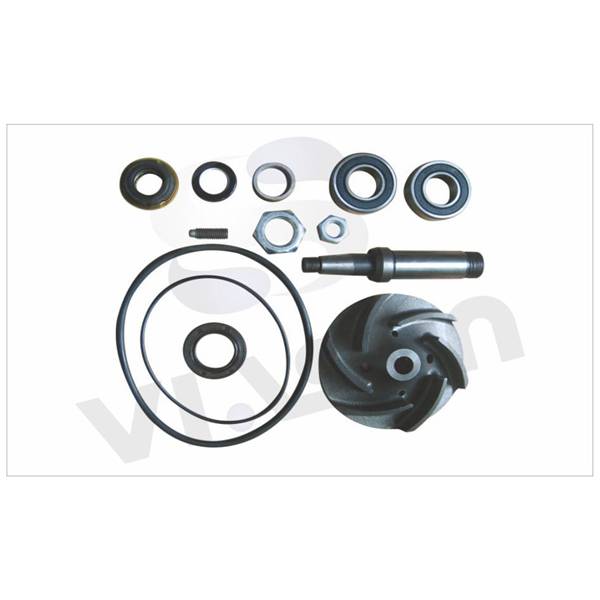 Reasonable price for 4089908 water pump - SCANIA water pump accessory replacement VS-SC115 – VISUN