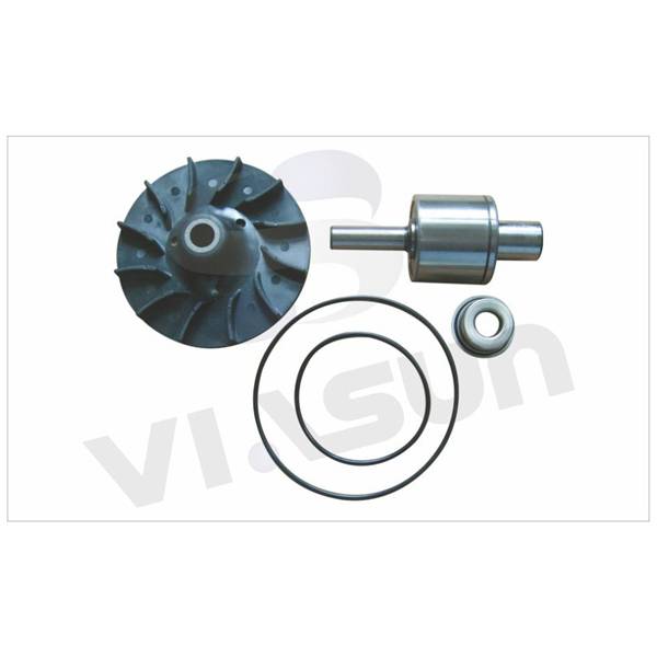 OEM/ODM Supplier 93191101 water pump - VOLVO VS-VL114 – VISUN