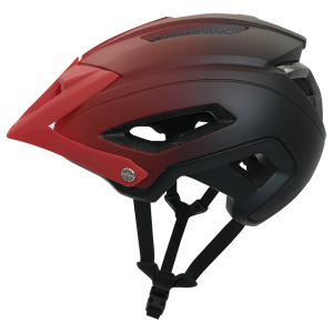 factory Outlets for Best Off Road Helmet - Mountain Bike MTB Helmet-VM204Red – Vital