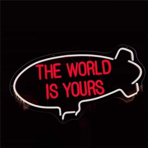Drop Shipping Wall-mounted Custom Bedroom Shop Bar Wedding Decor The World Is Yours Neon Sign DL150
