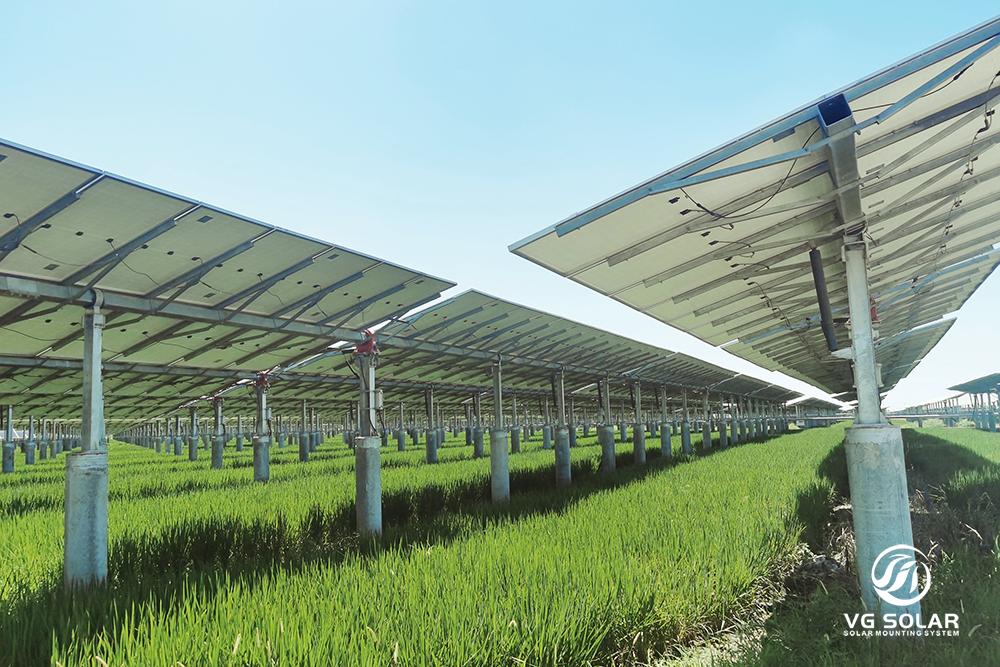 Ang photovoltaic mounts naggamit sa advanced nga teknolohiya aron padayon nga makadugang og bili