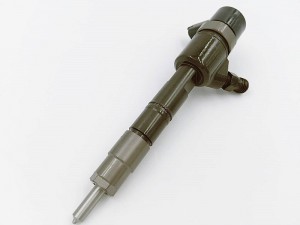 Injektor Bahan Bakar Injektor Diesel 0445110466 0445110717 0445110794 Bosch untuk Jianghuai Auto