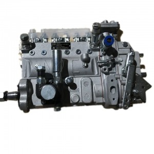 Pumpa za ubrizgavanje goriva B6AD548G-R/BH6PN120R za TD226B WP6G125E21 MOTOR