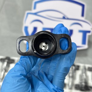 Made in China Fuel Injection Pump Plunger 2 418 455 129 2455-129 Pump Elements Engine Accessories