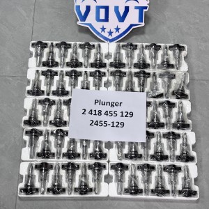 Made in China Fuel Injection Pump Plunger 2 418 455 129 2455-129 Pump Elements Engine Accessories