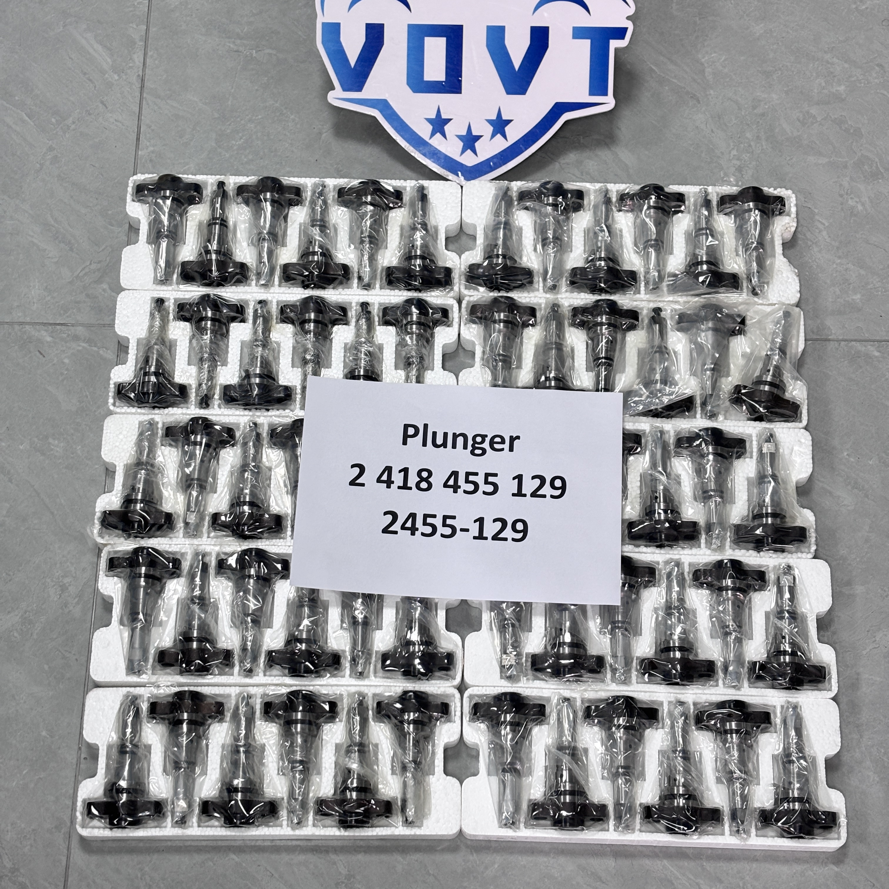 Made in China Fuel Injection Pump Plunger 2 418 455 129 2455-129 Pump Elements Engine Accessories