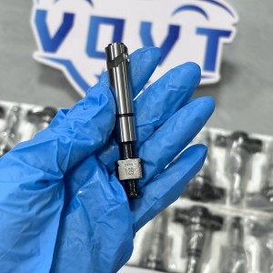 Made in China Fuel Injection Pump Plunger 2 418 455 129 2455-129 Pump Elements Engine Accessories