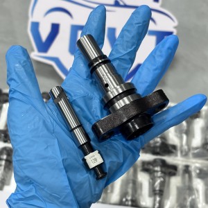 Made in China Fuel Injection Pump Plunger 2 418 455 129 2455-129 Pump Elements Engine Accessories
