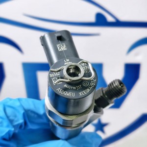 Professional Manufacture 0 445 110 317 Diesel Injector Common Rail Injector Engine Parts Vehicle Parts 0445110317