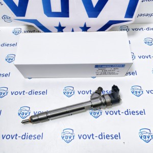 Professional Manufacture 0 445 110 317 Diesel Injector Common Rail Injector Engine Parts Vehicle Parts 0445110317