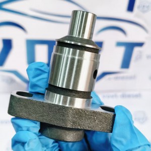 Made in China Fuel Injection Pump Plunger 733 9 412 366 454 Pump Elements Engine Accessories