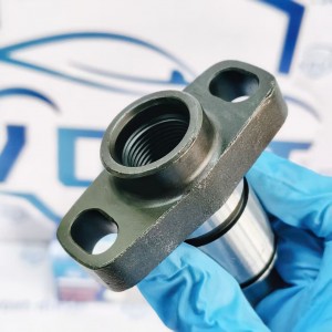 Made in China Fuel Injection Pump Plunger 733 9 412 366 454 Pump Elements Engine Accessories