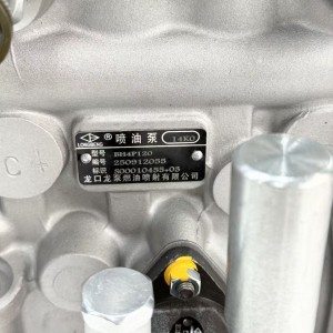 Diesel Fuel Injection Pump BH4P120 Engine Auto Engine Part