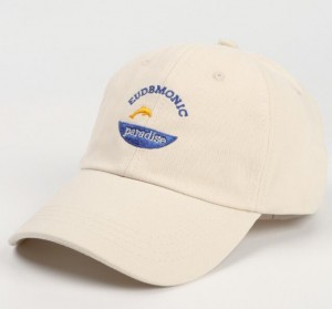 Hat female spring and summer new small dolphin cartoon letter embroidery soft top baseball cap men and women sunscreen sunshade cap