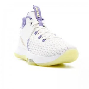 Lebron Witness 5 White Gold Purple Sport Shoes Brands Logos