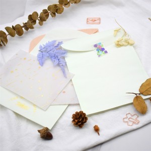 Bulk Summer Wedding Invitations Ink Printing Translucent Vellum Paper Envelope