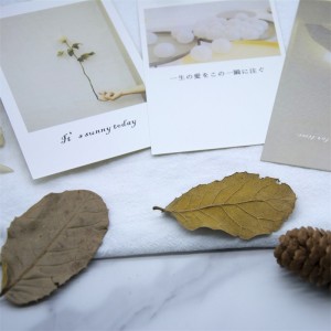 Family Greeting Cards Mini Christmas Gift Thank You Notes Card