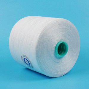 100% Polyester Tfo Raw White Ne 52/2/3 Sewing Thread