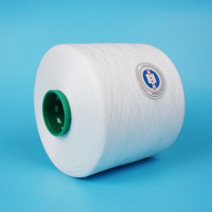 100% Polyester Tfo Raw White Ne 52/2/3 Sewing Thread