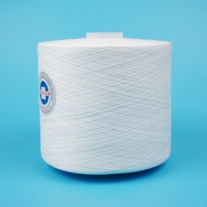 Semi Dull 100% Polyester Sewing Thread Textile 42/2/3
