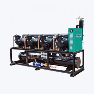 Manufacturing Companies for Condenser Unit - Semi-Hermetic Compressor Parallel Condensing Unit –  Weien
