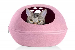 Felt Pet Nest: Malo Osangalatsa a Anzanu a Furry