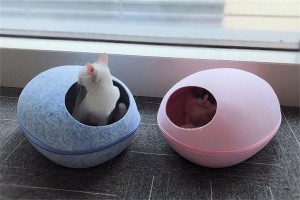 Felt Pet Nest: Түктүү досуңуз үчүн эң сонун чегинүү!