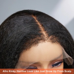 Type 4C Yaki Straight HD Lace Wig With Afro Kinky Hairline