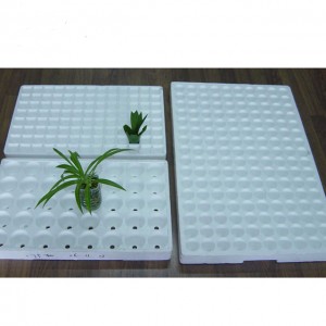 Eps Styrofoam Tray Seed Machine