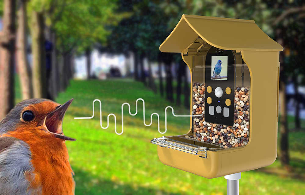 What is the best bird feeder camera on the market?