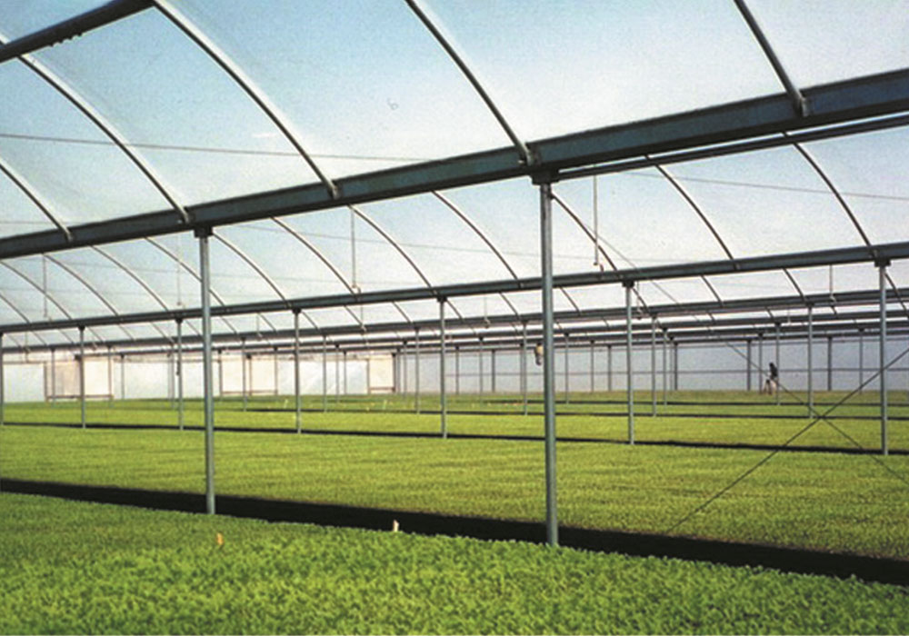 Cutter-connected Poly-arch Greenhouse