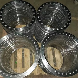 Wholesale ODM Large Diameter Forging Flange High Pressure Stainless Steel Plate Flat Welding Flange