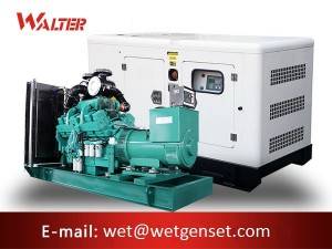 China Manufacturer for Cummins 80kw Diesel Generator - Cummins engine diesel generator Factory – Walter