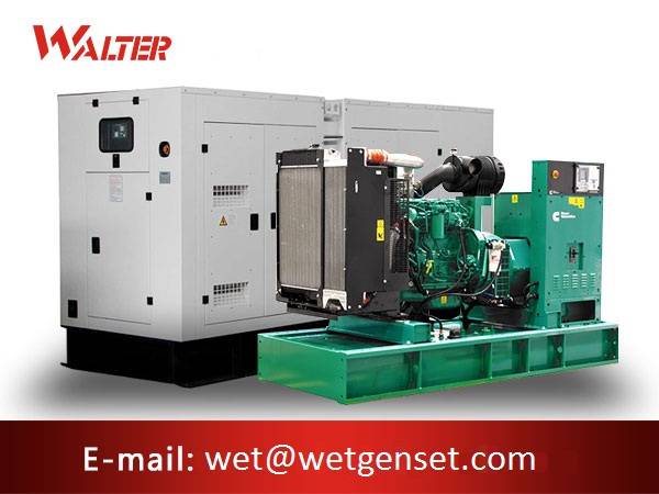 Trending Products Diesel Generator Portable - 50HZ 100kva Cummins engine diesel generator – Walter