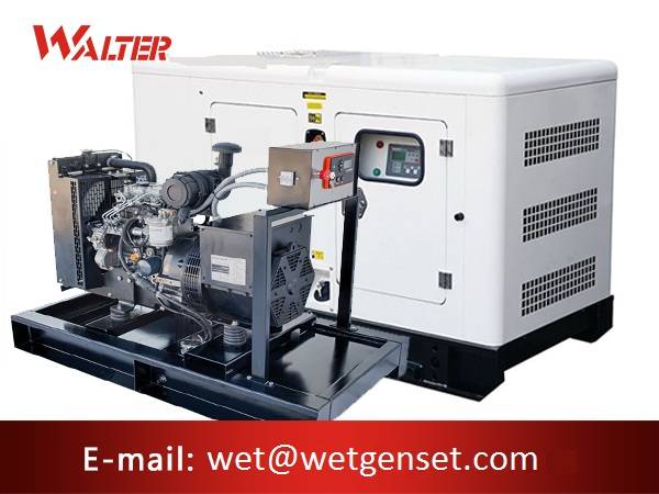 Super Purchasing for Diesel Generator Set - 60HZ 24kva Perkins engine diesel generator – Walter