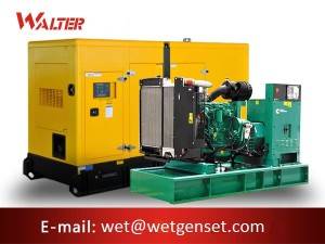 2020 Latest Design 20kw Cummins Diesel Generator - Cummins engine diesel generator for Sale – Walter