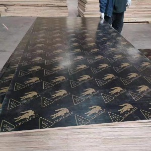Competitive Price Black Film faced plywood