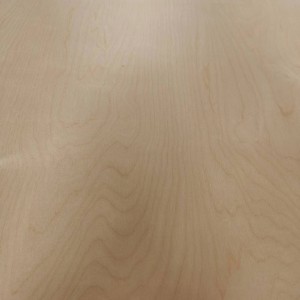 shandong birch faced plywood 3-35mm poplar/eucalyptus core plywood for furniture/construction
