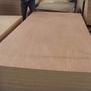 Factory12mm pencil cedar plywood/red hardwood plywood with competitive price