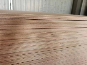 3X7 ft Okoume commercial plywood with the best price