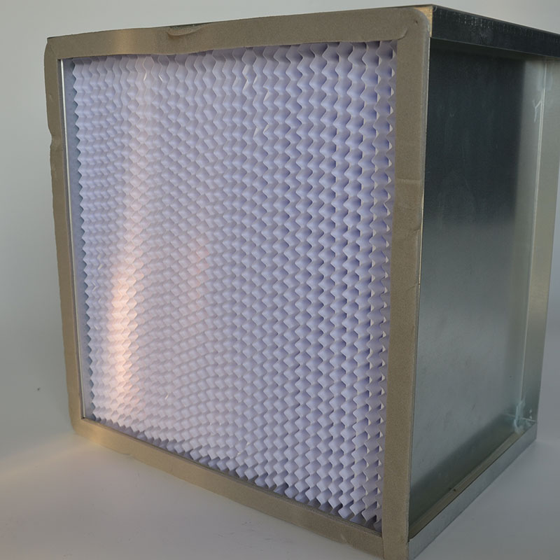 China Cheap price Cleanroom Ceiling Panel - High Efficient Portable Air Filter for HEPA – Tianjia
