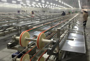 Canned tuna fish production line from A to Z